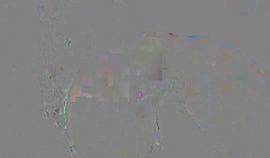 Fingering – Fledgling Assfuck Fisting & Romping Mashine