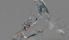 Group Sex – Treesome Ash Blonde