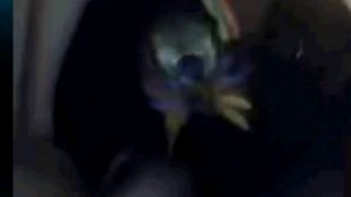 Webcams – African Teen