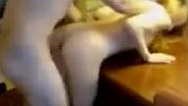 Blonde gets nailed on desk