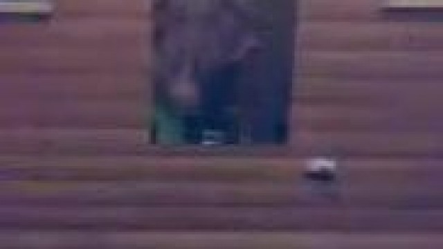 brunette – Hot sexy with horny bitch