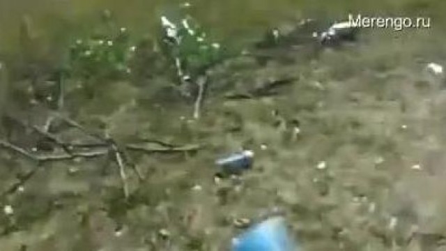 cumshot – Beauty delivers head near lake