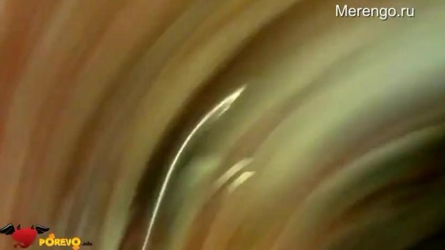 doggy – Passed out bitch got screwed