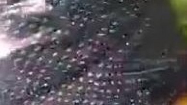 hardcore, – Babe with a nice ass fucked hard