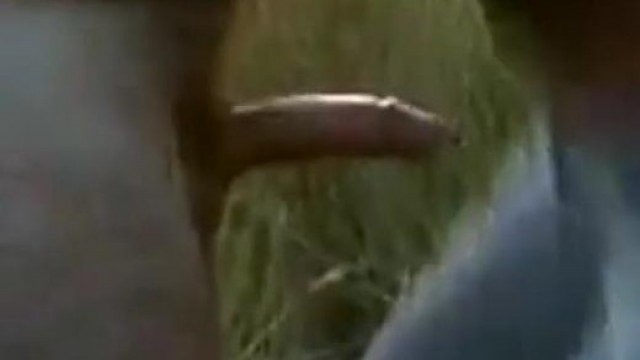 Teen – Outdoor blowjob on a field