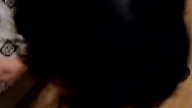 Teen – She loves ass to mouth