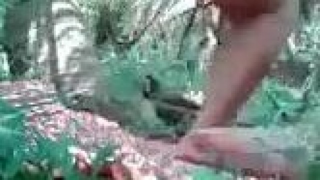 video-151920362_456239885