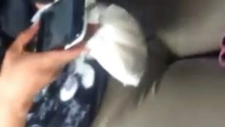 Straight – Camel Toe Girls