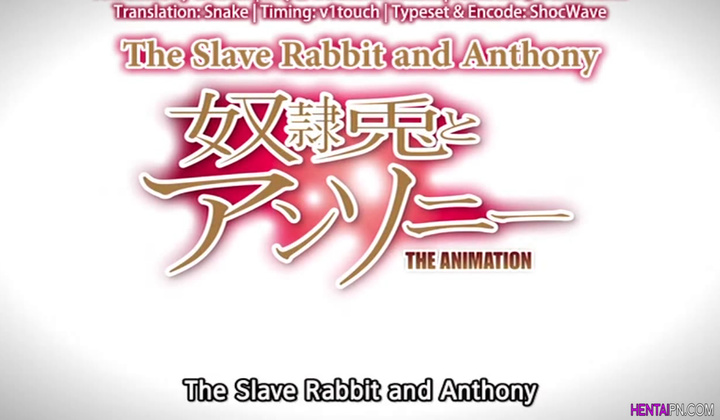 Hentai – Dorei Usagi To Anthony The Animation Ep 01 Eng Sub